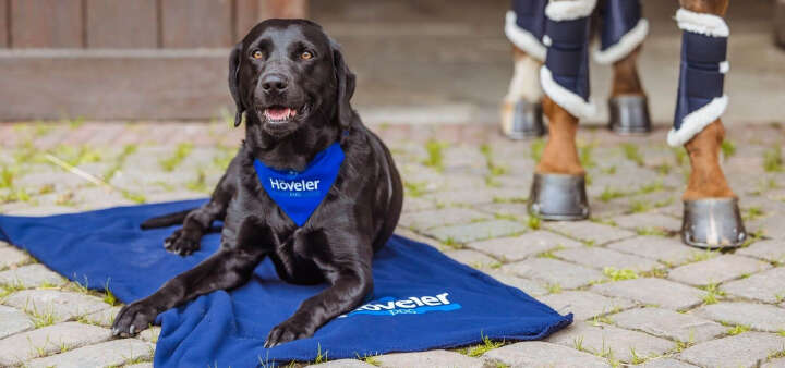 EQ Unsere Marken Banner Hoeveler Dog